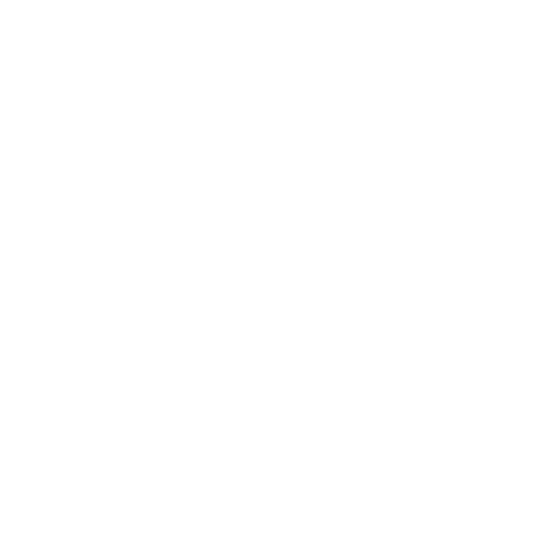 Instagram Logo weiss