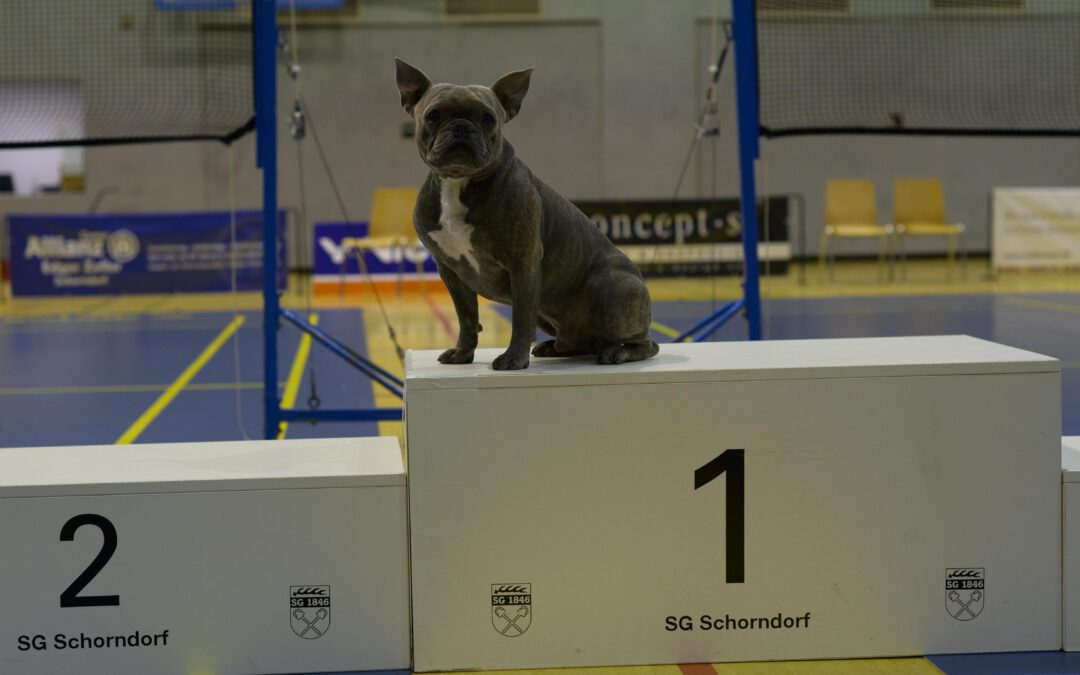 53. Baden-Württembergischen Meisterschaften in Schorndorf