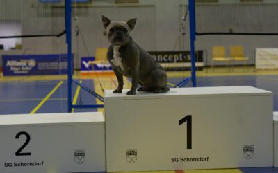 53. Baden-Württembergischen Meisterschaften in Schorndorf